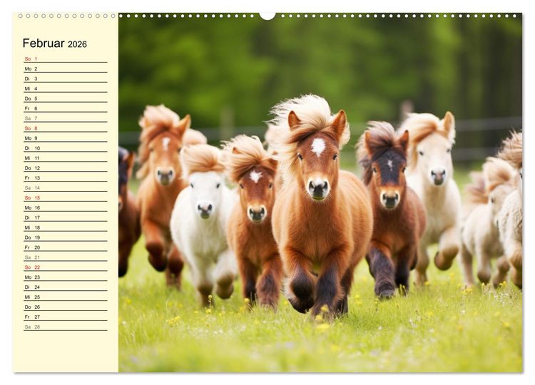 Produktbild: Kleine Pferde. Mini-Ponys zum verlieben (hochwertiger Premium Wandkalender 2026 DIN A2 quer), Kunstdruck in Hochglanz