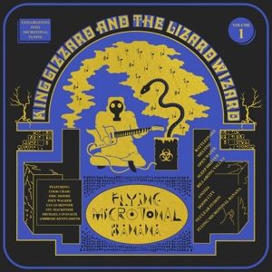 Produktbild: Flying Microtonal Banana