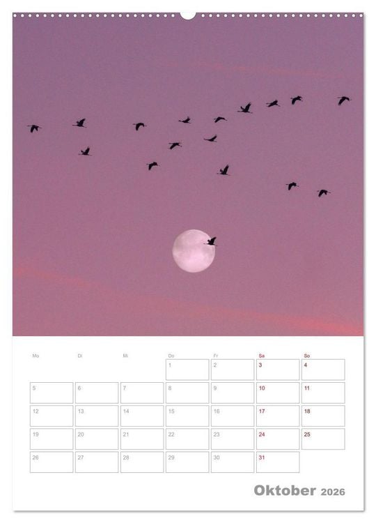 Produktbild: VOLLMOND-Planer - Im Licht der Nacht (Wandkalender 2026 DIN A2 hoch), CALVENDO Monatskalender