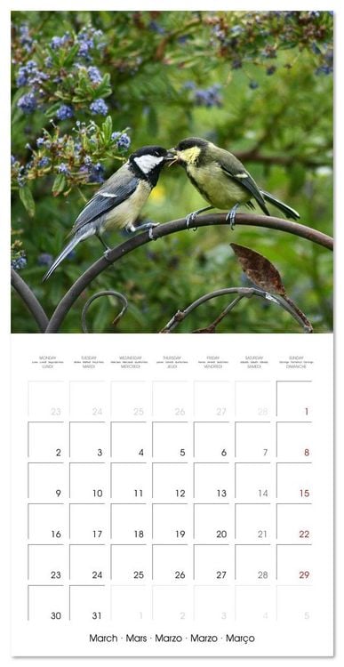 Produktbild: WILD GARDEN ANIMALS (Wall Calendar 2026 12 &times; 12 Inch) CALVENDO 12 Month Wall Calendar