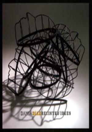 Produktbild: Dami&agrave; D&iacute;az : recinte d'idees
