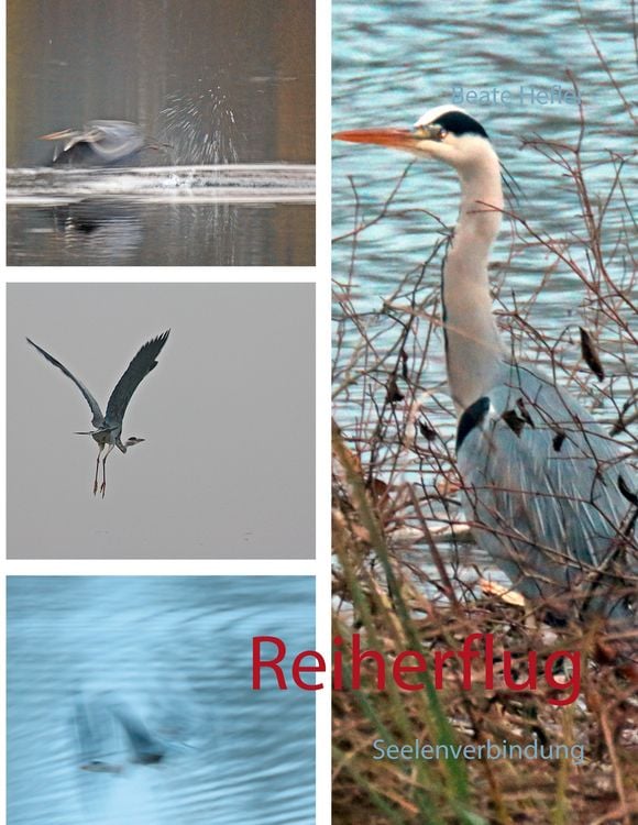 Produktbild: Reiherflug
