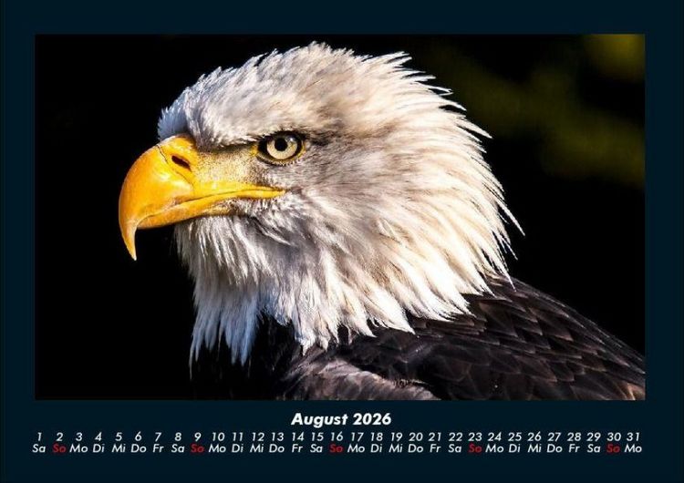 Produktbild: Adler 2026 Fotokalender DIN A4
