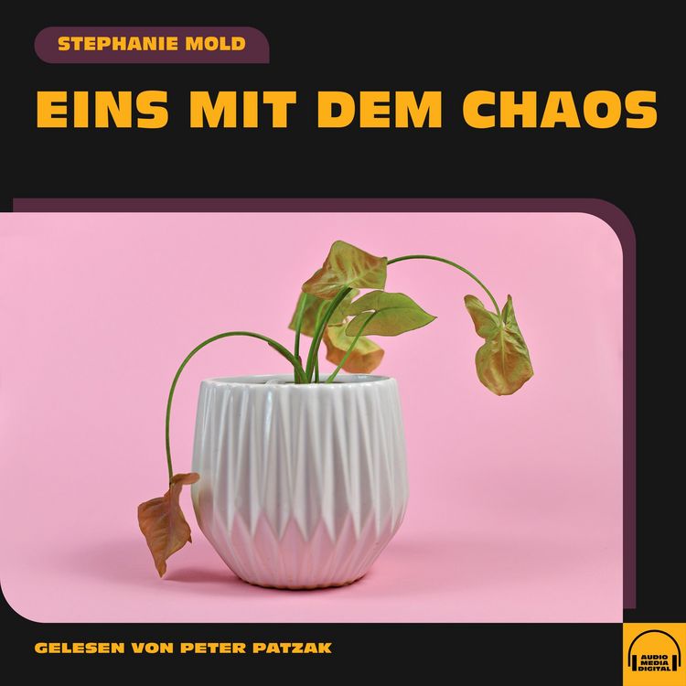 Produktbild: Eins mit dem Chaos