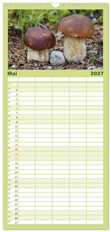 Produktbild: Familienplaner 2027 - Pilze - tolle Funde mit 5 Spalten (Wandkalender, 21 x 45 cm) CALVENDO