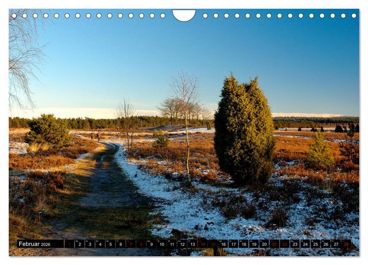 Produktbild: L&uuml;neburger Heide (Wandkalender 2026 DIN A4 quer), CALVENDO Monatskalender