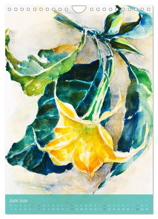 Produktbild: Karl Sock Blumenaquarelle (Wandkalender 2026 DIN A4 hoch), CALVENDO Monatskalender