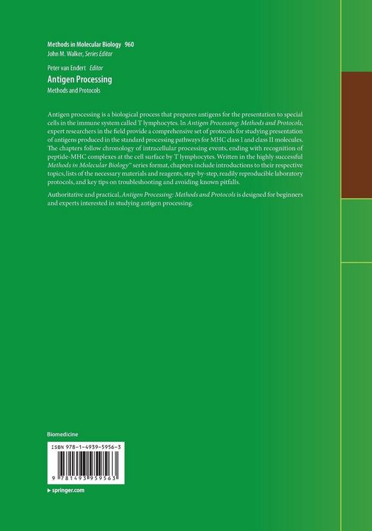 Produktbild: Antigen Processing