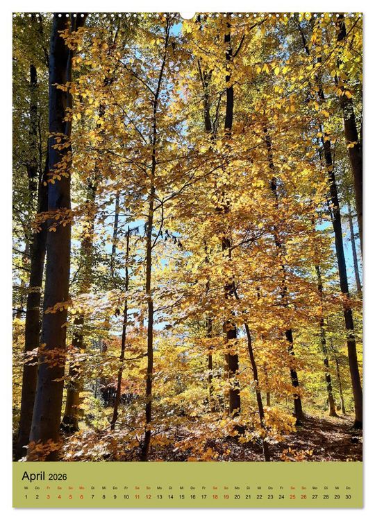 Produktbild: Momente des Herbstes (hochwertiger Premium Wandkalender 2026 DIN A2 hoch), Kunstdruck in Hochglanz