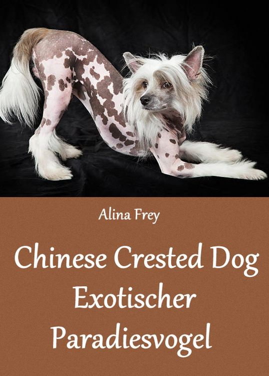 Produktbild: Chinese Crested Dog
