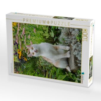 Produktbild: CALVENDO Puzzle Aufmerksame Katze im Garten | 1000 Teile Lege-Gr&ouml;&szlig;e 64x48cm Foto-Puzzle f&uuml;r gl&uuml;ckliche Stunden