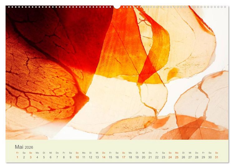 Produktbild: Lichtzauber (Wandkalender 2026 DIN A2 quer), CALVENDO Monatskalender