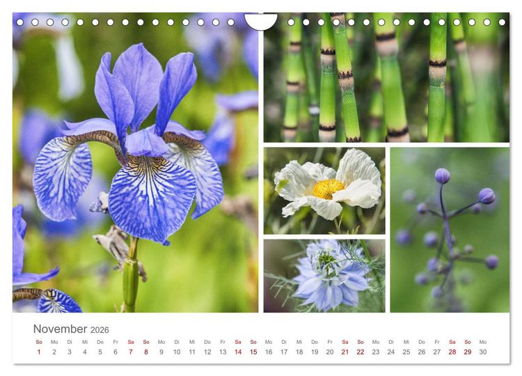 Produktbild: Ein Garten, der zum Verweilen einl&auml;dt (Wandkalender 2026 DIN A4 quer), CALVENDO Monatskalender