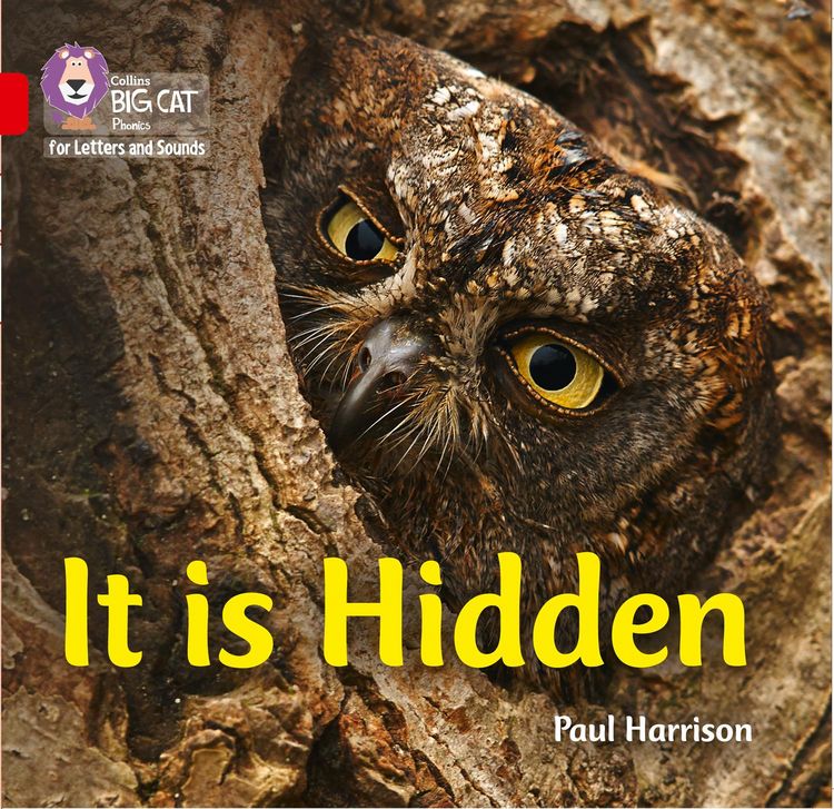 Produktbild: It is Hidden