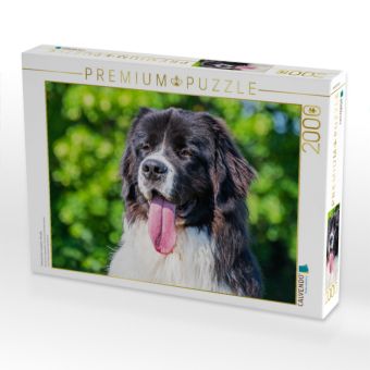 Produktbild: CALVENDO Puzzle Portr&auml;t einer Landseer-H&uuml;ndin | 2000 Teile Lege-Gr&ouml;&szlig;e 90x67cm Foto-Puzzle f&uuml;r gl&uuml;ckliche Stunden