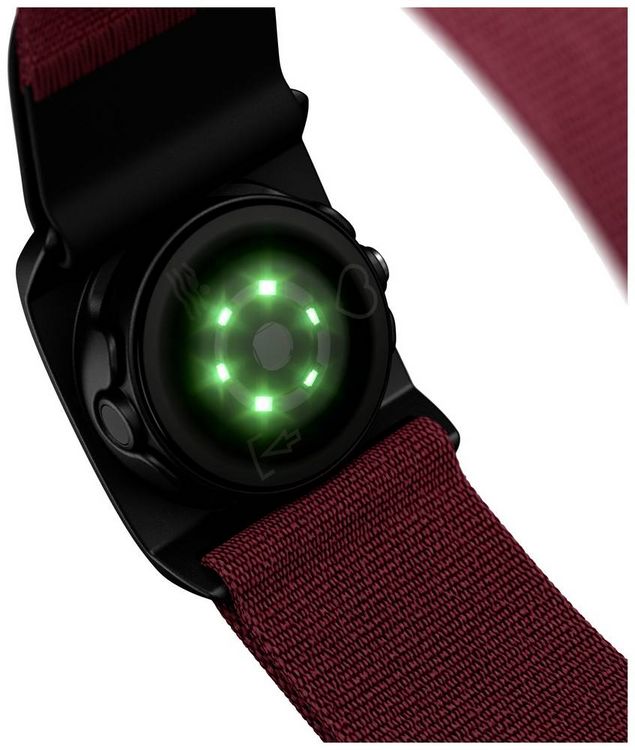 Produktbild: Polar Verity Sense OHR Sensor Pulssensor Gr&ouml;&szlig;e: L Dunkelrot
