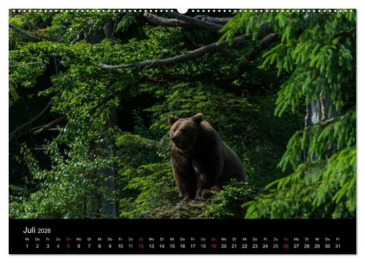 Produktbild: Bayerischer Wald (hochwertiger Premium Wandkalender 2026 DIN A2 quer), Kunstdruck in Hochglanz