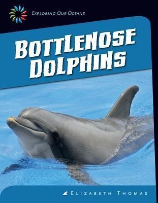 Produktbild: Bottlenose Dolphins