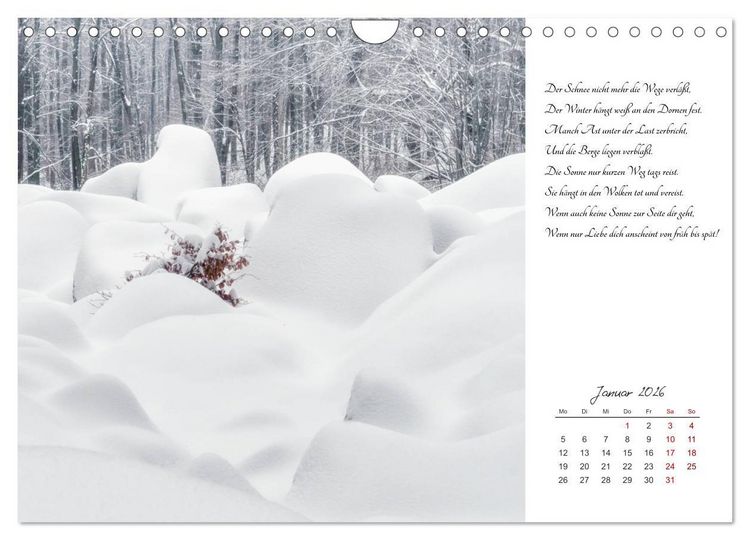 Produktbild: Max Dauthendey - Mit der Natur durchs Jahr (Wandkalender 2026 DIN A4 quer), CALVENDO Monatskalender