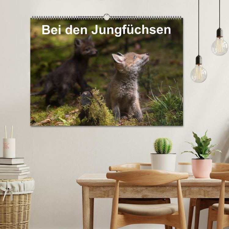 Produktbild: Bei den Jungf&uuml;chsen (Wandkalender 2026 DIN A2 quer), CALVENDO Monatskalender