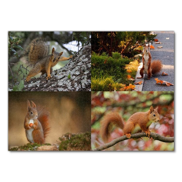 Produktbild: Lais Puzzle Collage Eichh&ouml;rnchen 1000 Teile