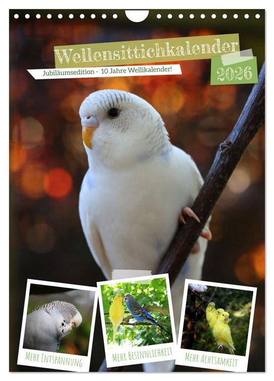 Produktbild: Wellensittichkalender Jubil&auml;umsedition - 10 Jahre Wellensittichkalender! (Wandkalender 2026 DIN A4 hoch), CALVENDO Monatskalender