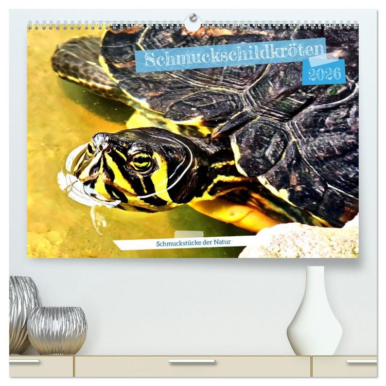 Produktbild: Schmuckschildkr&ouml;ten - Schmuckst&uuml;cke der Natur (hochwertiger Premium Wandkalender 2026 DIN A2 quer), Kunstdruck in Hochglanz