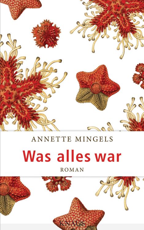 Produktbild: Was alles war