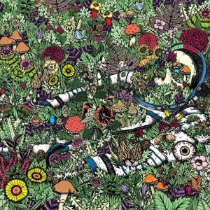 Produktbild: Whatever Forever