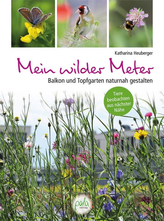 Produktbild: Mein wilder Meter