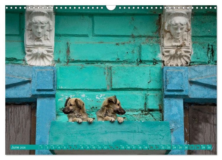 Produktbild: CUBA CARIBBEAN DREAM DESTINATION (Wall Calendar 2026 DIN A3 landscape), CALVENDO 12 Month Wall Calendar