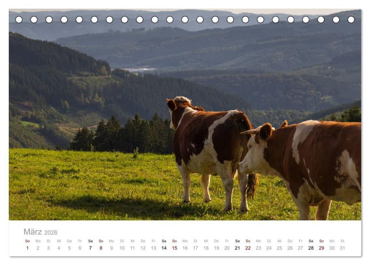 Produktbild: Sch&ouml;nes Sauerland (Tischkalender 2026 DIN A5 quer), CALVENDO Monatskalender
