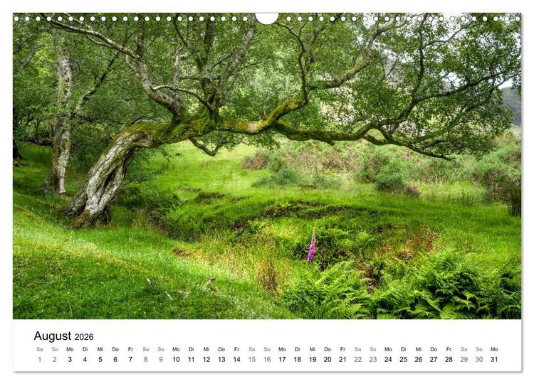 Produktbild: Wales - Eine Hommage an ber&uuml;hrende Landschaften (Wandkalender 2026 DIN A3 quer), CALVENDO Monatskalender