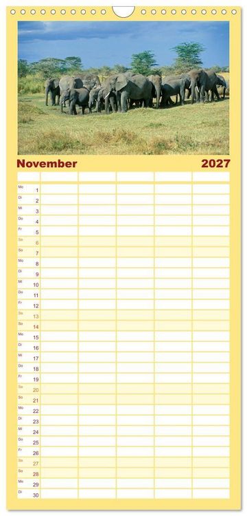 Produktbild: Familienplaner 2027 - Elefanten in der Serengeti mit 5 Spalten (Wandkalender, 21 x 45 cm) CALVENDO