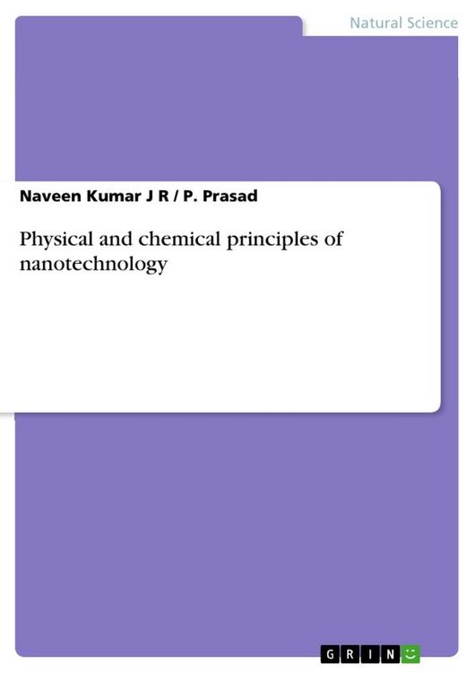Produktbild: Physical and chemical principles of nanotechnology