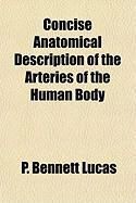 Produktbild: Concise Anatomical Description of the Arteries of the Human Body