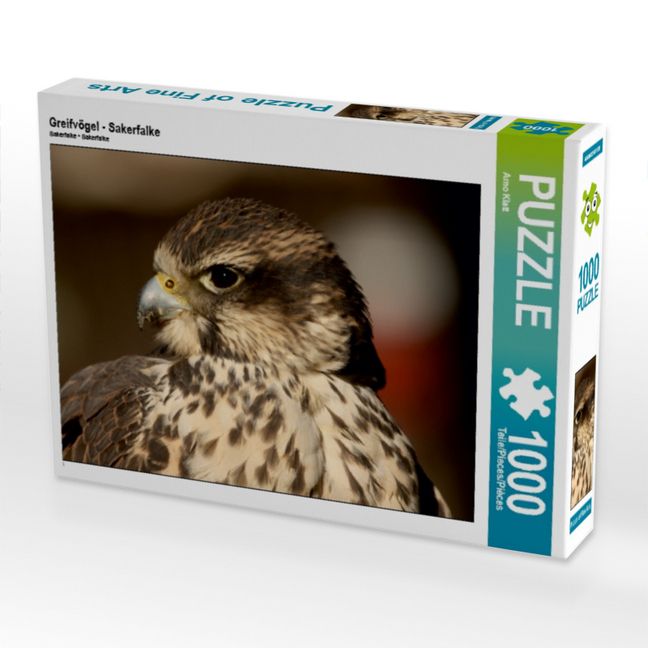 Produktbild: CALVENDO Puzzle Greifv&ouml;gel - Sakerfalke | 1000 Teile Lege-Gr&ouml;&szlig;e 64x48cm Foto-Puzzle f&uuml;r gl&uuml;ckliche Stunden