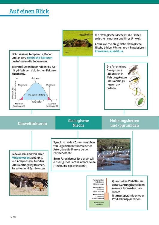 Produktbild: Klett Sicher im Abi Biologie