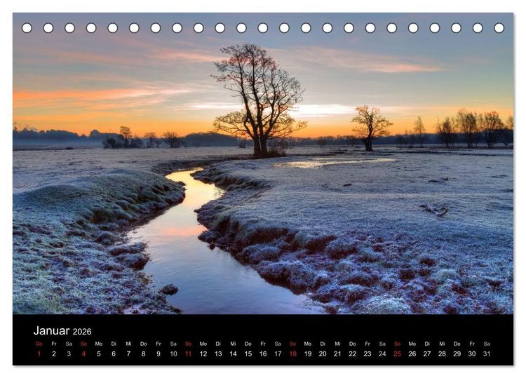 Produktbild: New Forest - England (Tischkalender 2026 DIN A5 quer), CALVENDO Monatskalender