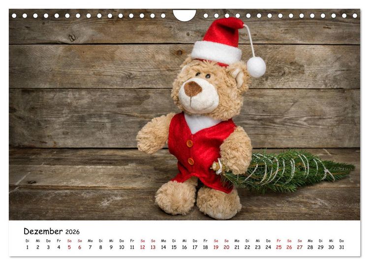Produktbild: Eddy, der Teddy (Wandkalender 2026 DIN A4 quer), CALVENDO Monatskalender