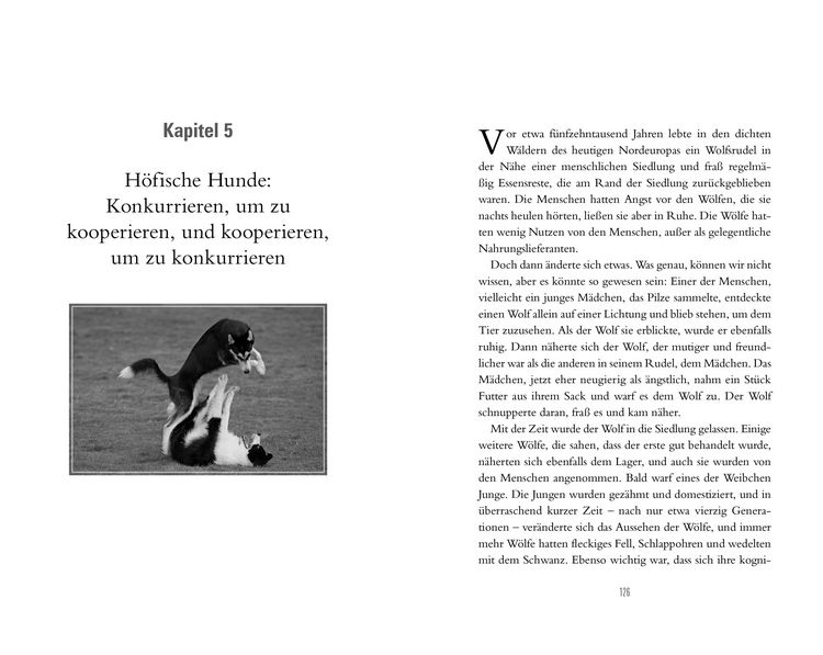 Produktbild: Das faszinierende Spiel der Tiere