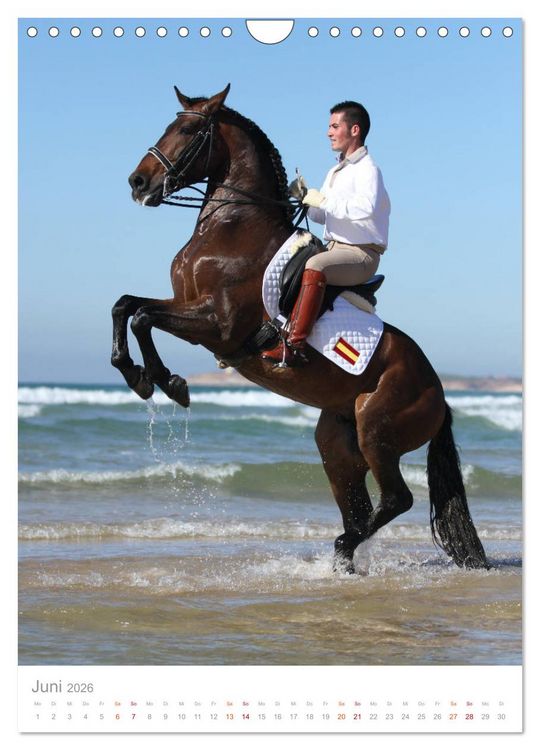 Produktbild: Caballos - Die sch&ouml;nen Pferde Spaniens (Wandkalender 2026 DIN A4 hoch), CALVENDO Monatskalender