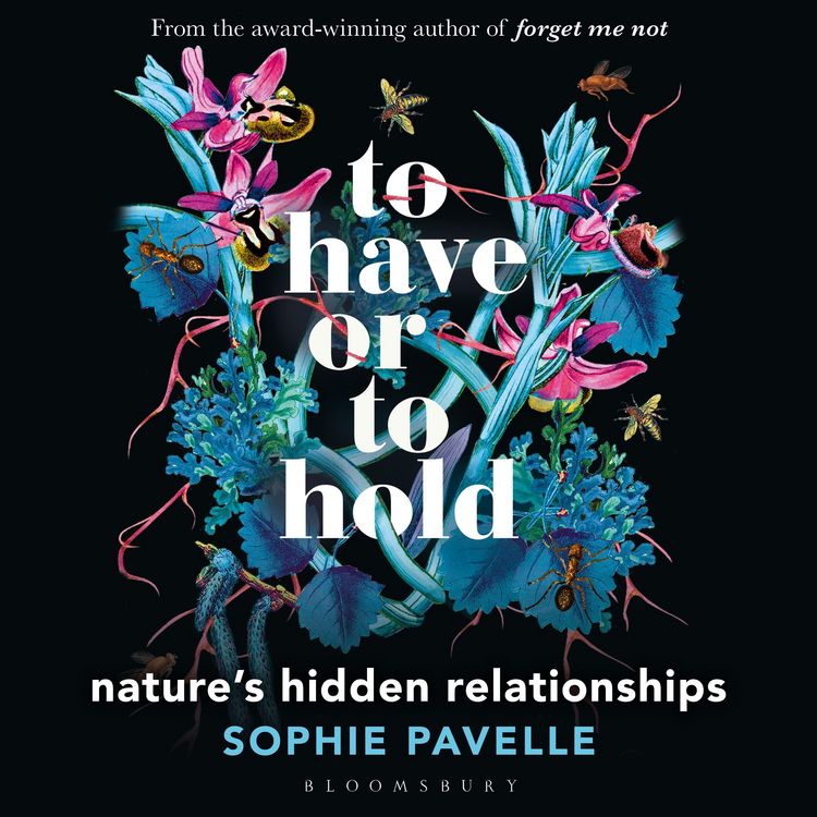 Produktbild: To Have or To Hold
