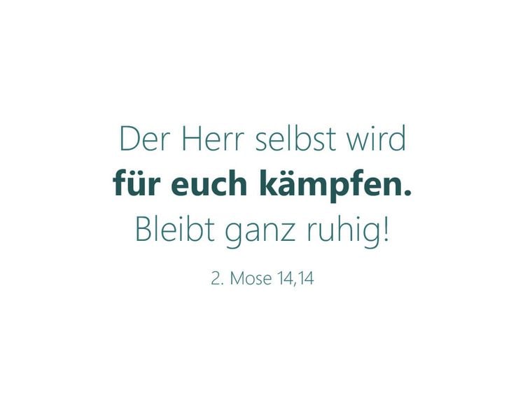 Produktbild: F&uuml;r Gott sind alle Dinge m&ouml;glich &ndash; Textkartenbox