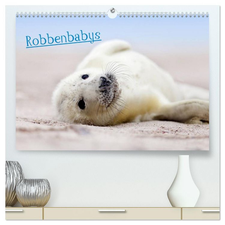 Produktbild: Robbenbabys (hochwertiger Premium Wandkalender 2026 DIN A2 quer), Kunstdruck in Hochglanz