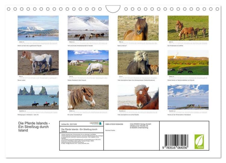 Produktbild: Die Pferde Islands - Ein Streifzug durch Island (Wandkalender 2026 DIN A4 quer), CALVENDO Monatskalender
