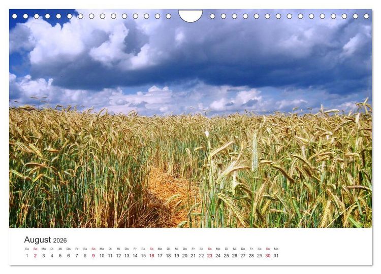 Produktbild: Wege durchs Jahr- Zitate begleiten auf romantisch sch&ouml;nen Wegen (Wandkalender 2026 DIN A4 quer), CALVENDO Monatskalender