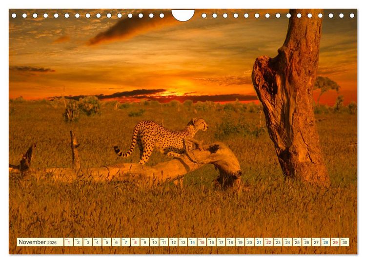 Produktbild: Fantastic Kenya (Wall Calendar 2026 DIN A4 landscape), CALVENDO 12 Month Wall Calendar