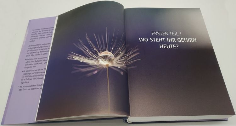 Heile Dein Gehirn Das Basisbuch Online Kaufen