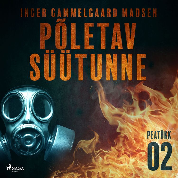 Produktbild: P&otilde;letav s&uuml;&uuml;tunne &ndash; 2. peat&uuml;kk